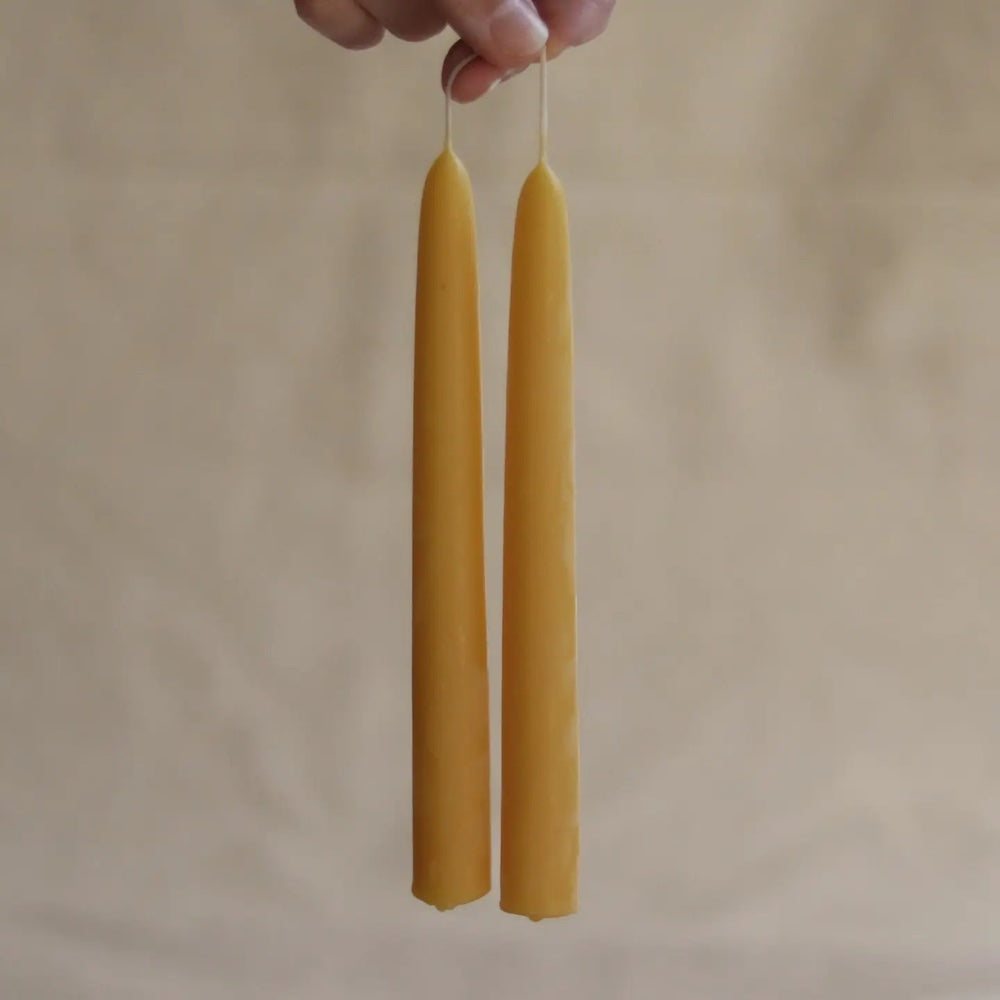 beeswax dinner candles held by a hand against a beige background