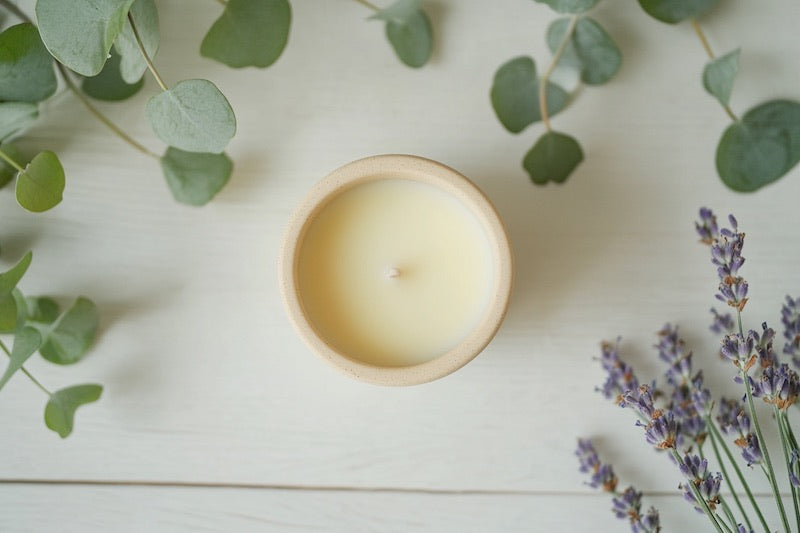 soy-vs-beeswax-candles-non-toxic-living