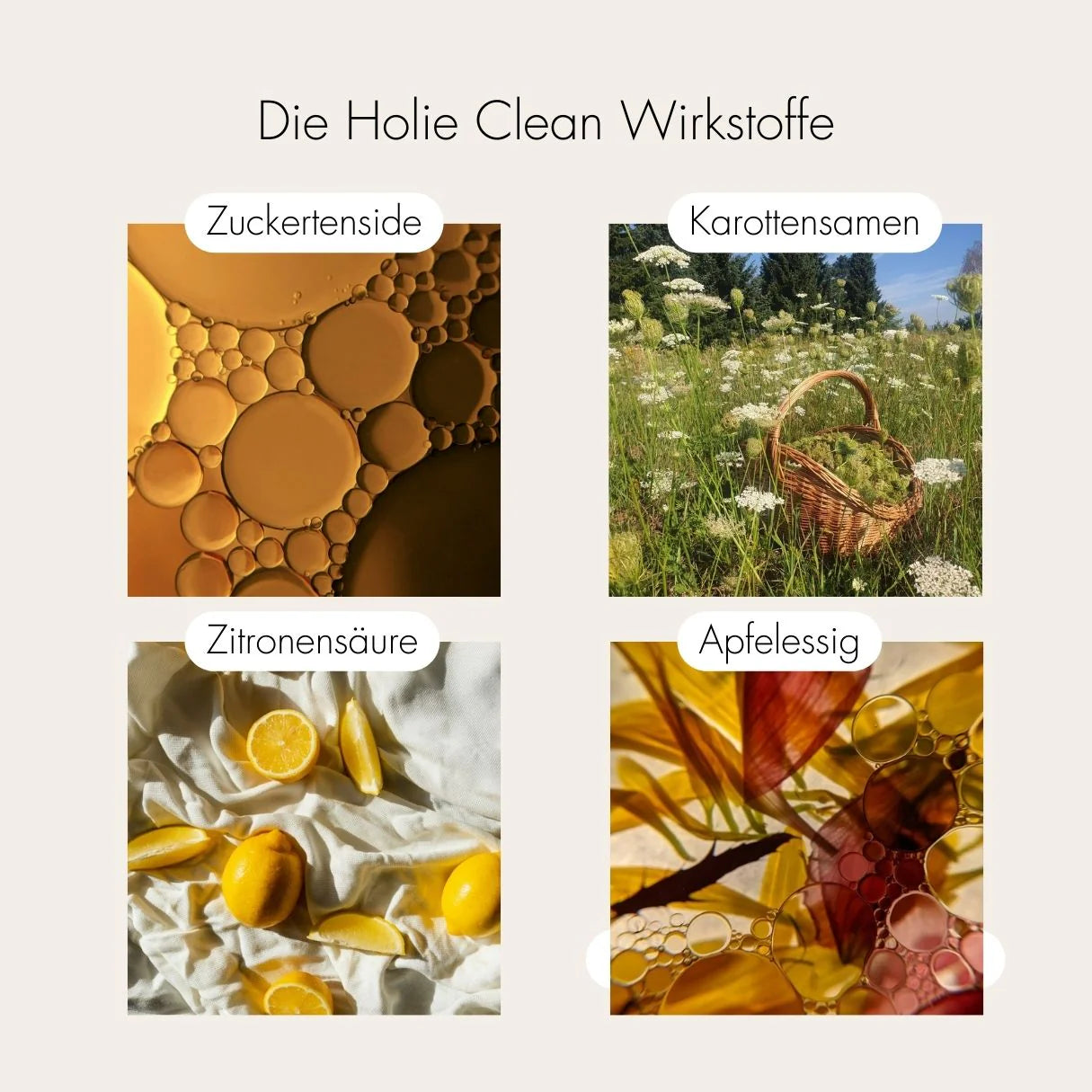 naturall-all-purpose-cleaner-holie-clean